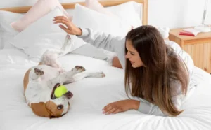 The Perfect Bedroom: Where Design Meets Peace of Mind